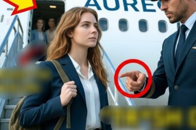 Maya Chun zog ihre abgenutzte Segeltuchtasche höher über die Schulter und reihte sich in die Warteschlange am Gate 14 ein. Sie sah müde aus, denn drei Wochen Reisen durch ländliche Gemeinden, bei denen sie sich persönlich ein Bild von den Bedingungen der kleinen Regionalflughäfen gemacht hatte, die ihr Unternehmen bediente, hatten dazu geführt, dass sie ganz anders aussah als sonst .